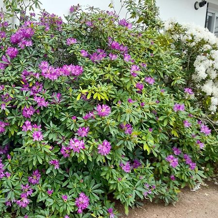 Bed and Breakfast Les Abelias Hauterive  Екстер'єр фото