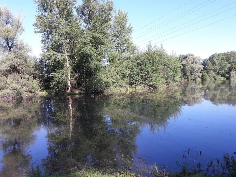 Bed and Breakfast Les Abelias Hauterive  Екстер'єр фото