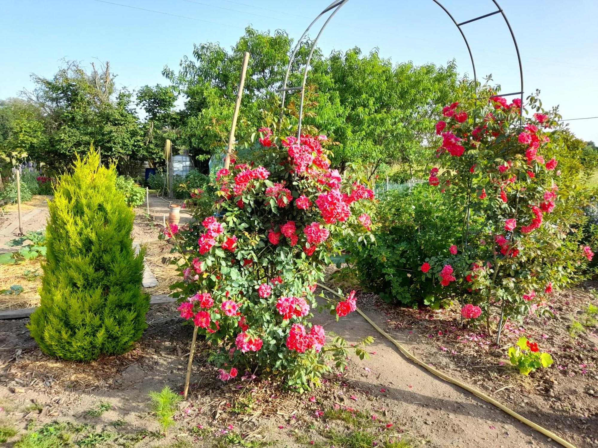 Bed and Breakfast Les Abelias Hauterive  Екстер'єр фото