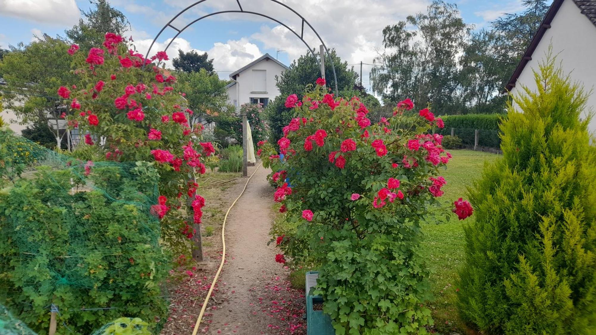 Bed and Breakfast Les Abelias Hauterive  Екстер'єр фото